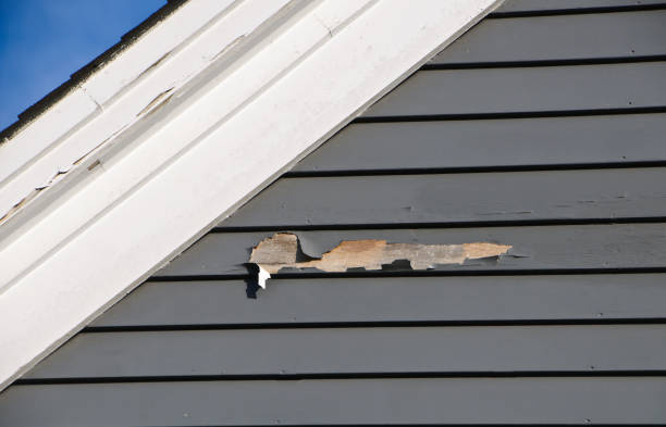 Best Same-Day Junk Removal Services  in Salmon Creek, WA